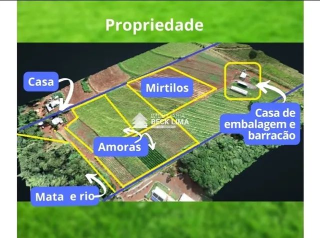 Chácara em  chacara - Jangadinha  - Fazenda Jangada/PR