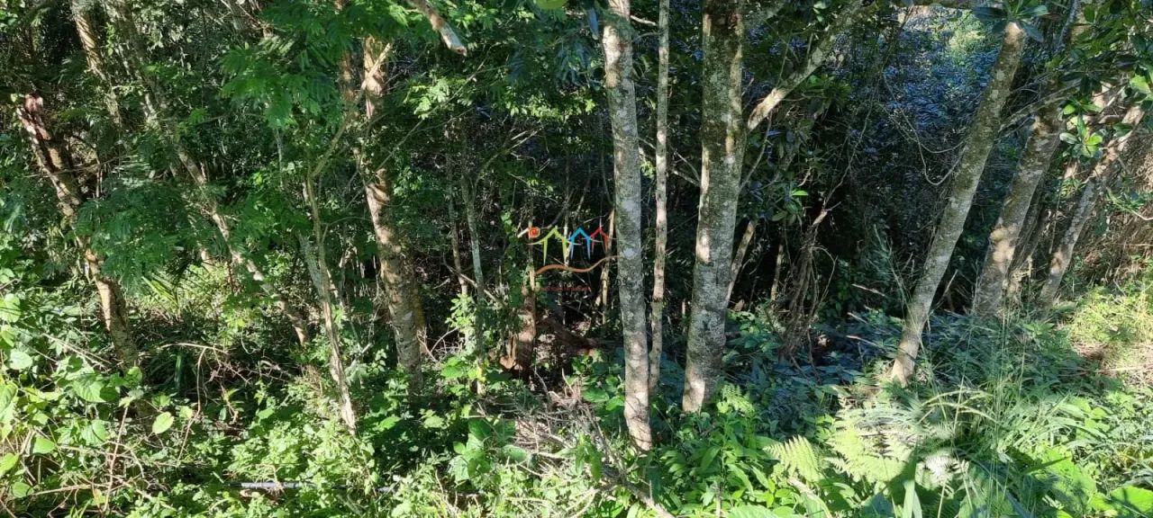 Terreno a venda em Ilhabela - Foto 6