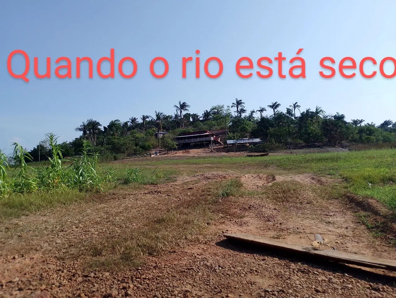 foto - Manaus - Zumbi dos Palmares