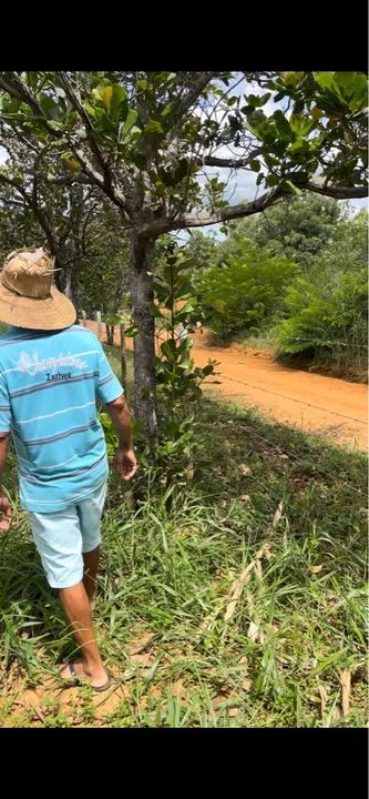 foto - Goiânia - Jardim Goiás