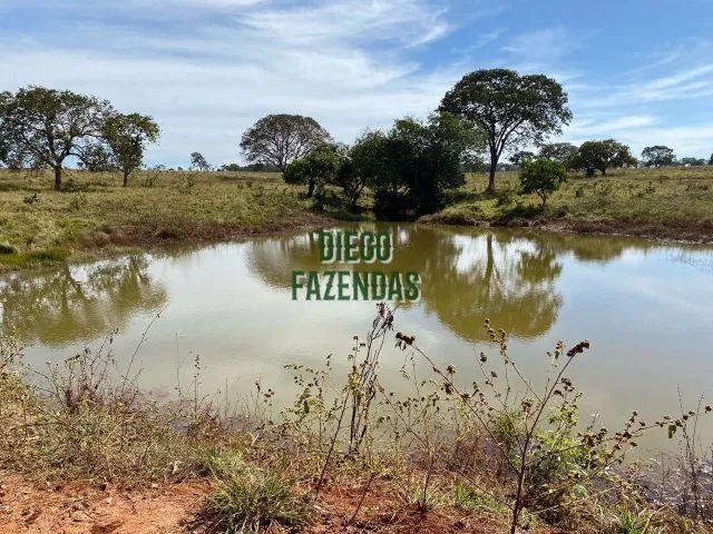 21 alqueirão - Rica em água - dupla aptidão - Foto 5