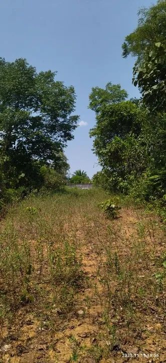 //Lote em Açutuba com 4 mil m2 - Foto 5