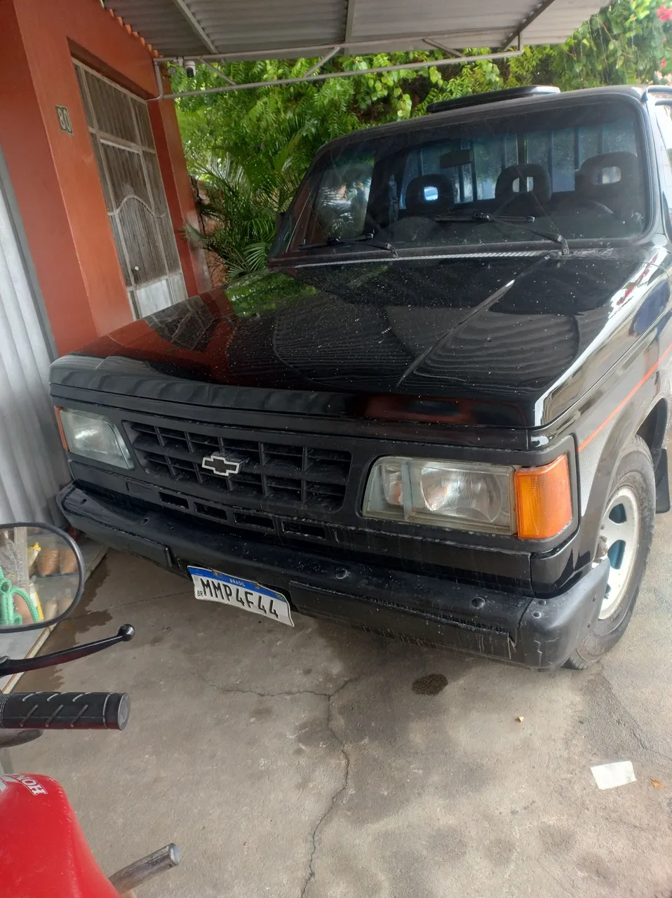D20 1991