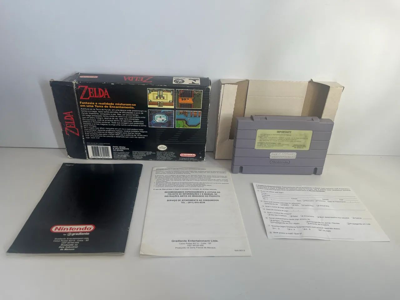 Zelda - Um Elo Com o Passado - Foto 5