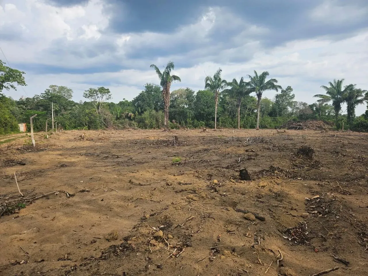 Terreno Plano Para Sítio No Km26 Da AM 070 - Próximo Do Asfalto Com Energia Elétrica