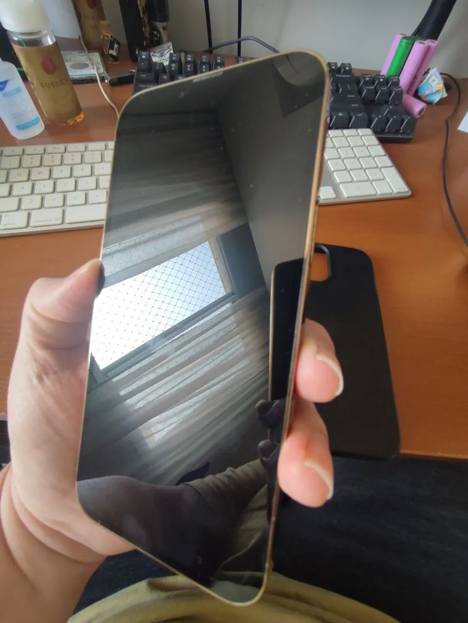 iPhone 13 pro Max