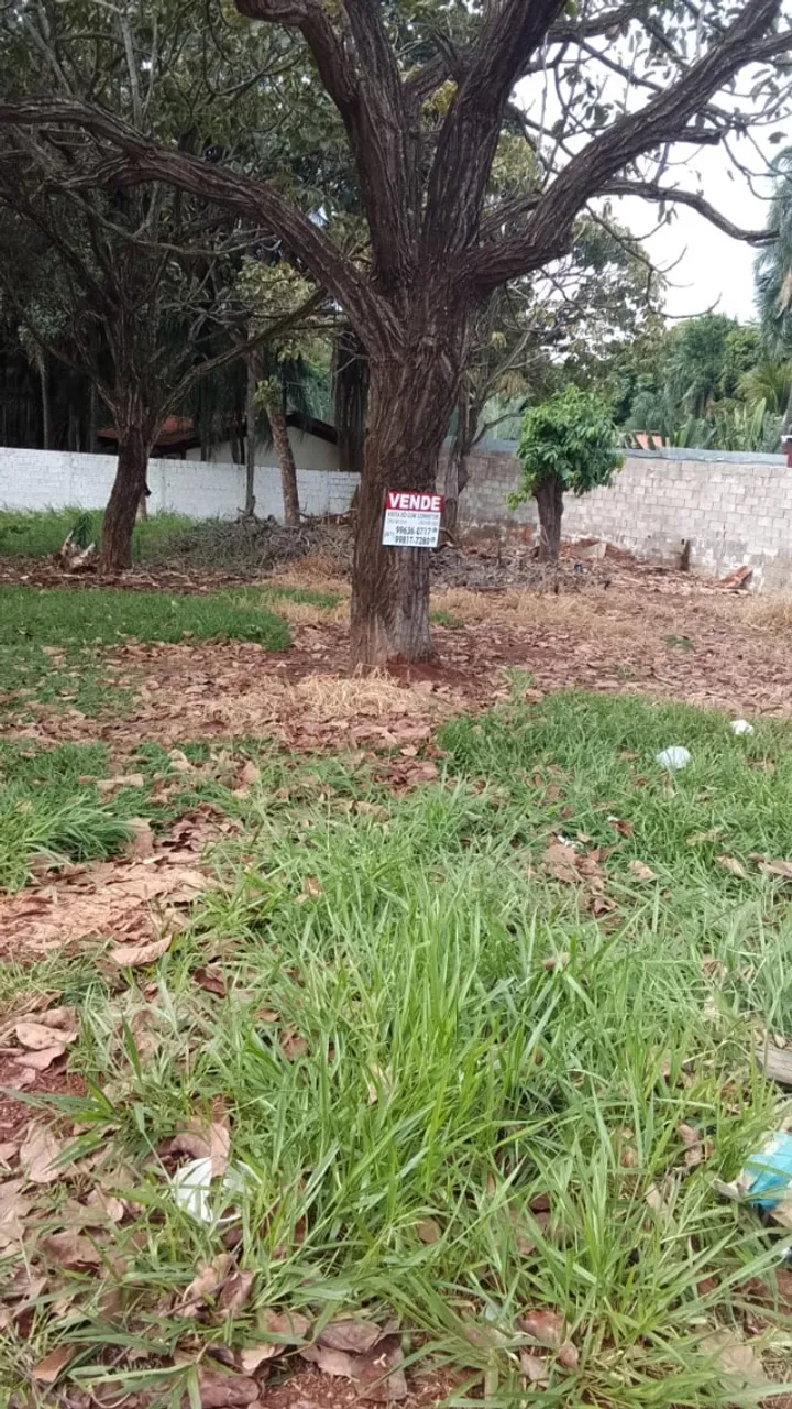 Ótima oportunidade em Terenos, 2 terrenos na área central