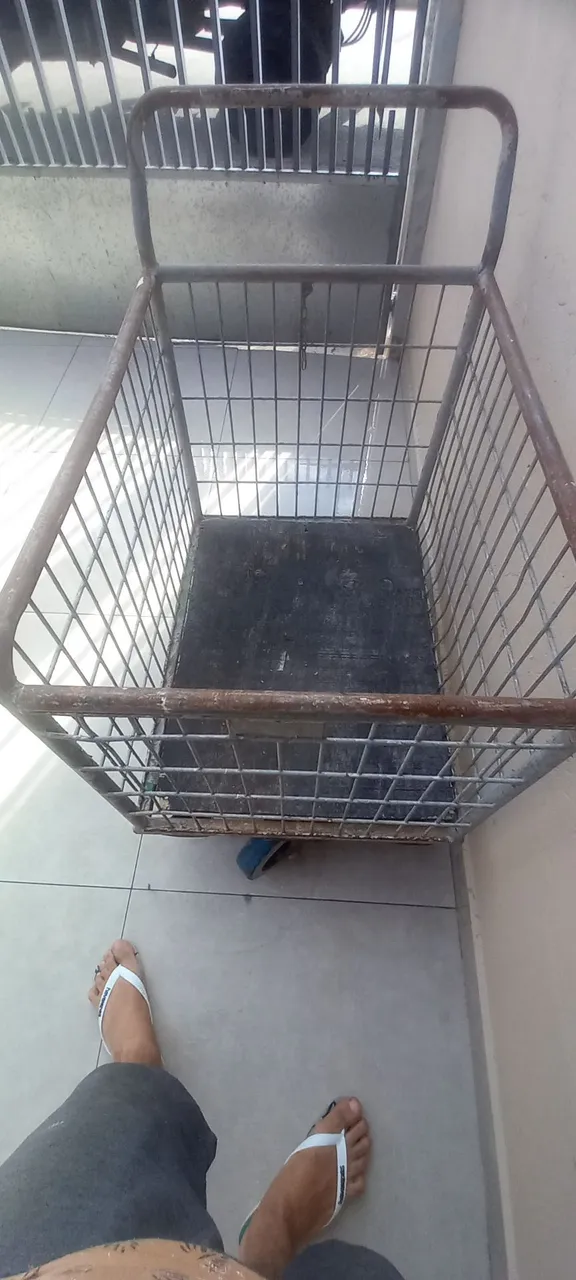 Carrinho de Carga Resistente e Versátil