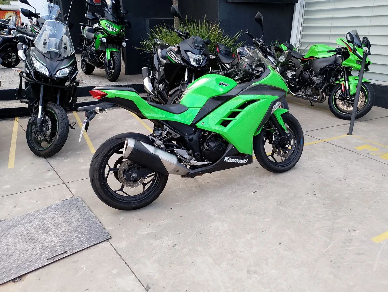 Ninja 300 doc em dia