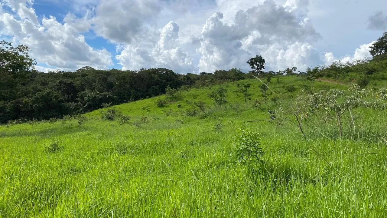 20mil mt em Bela Vista 70km de Goiânia ! - Foto 7