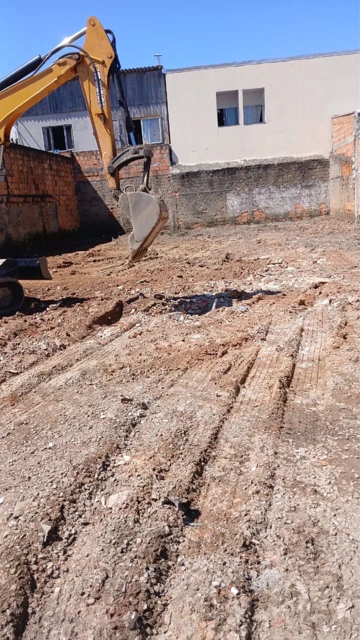 Foto - Itajaí - Cordeiros