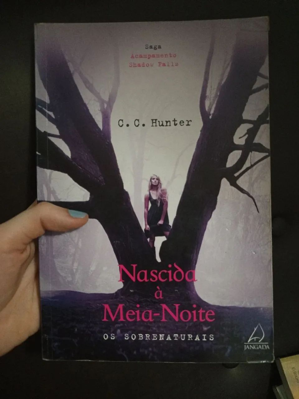 Livros R$10,00 - brechó 