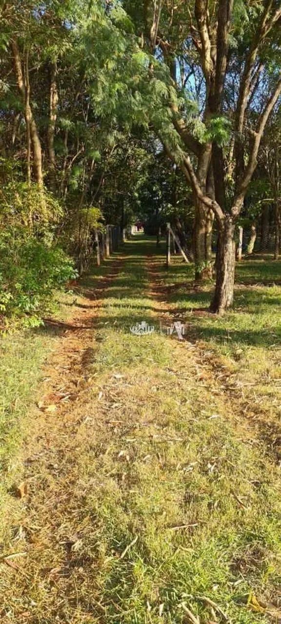 Chácara à venda, 1201 m² por R$ 450.000,00 - Rural - Londrina/PR - Foto 12