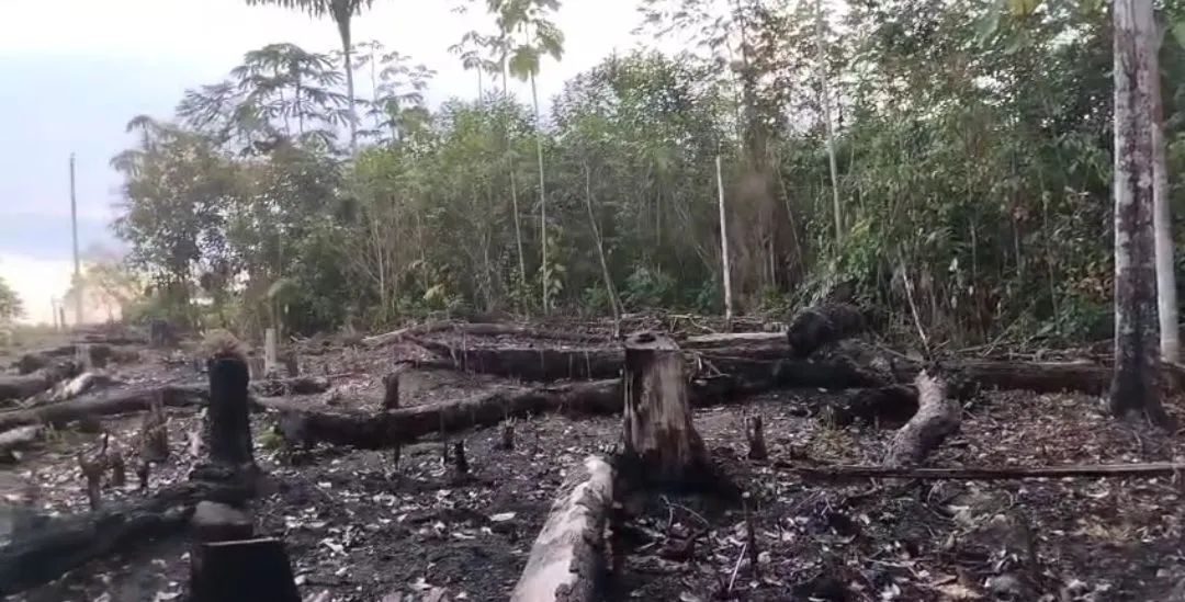 Vendo ou troco por uma casa, um terreno no rio preto da eva, aceito propostas - Foto 2