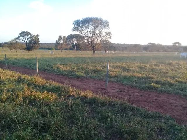 Fazenda de 117 Alq em Inocencia MS - Foto 4