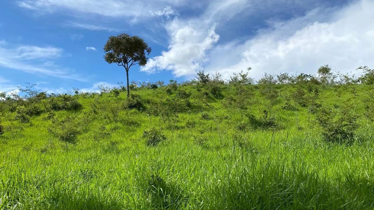 20mil mt em Bela Vista 70km de Goiânia ! - Foto 9