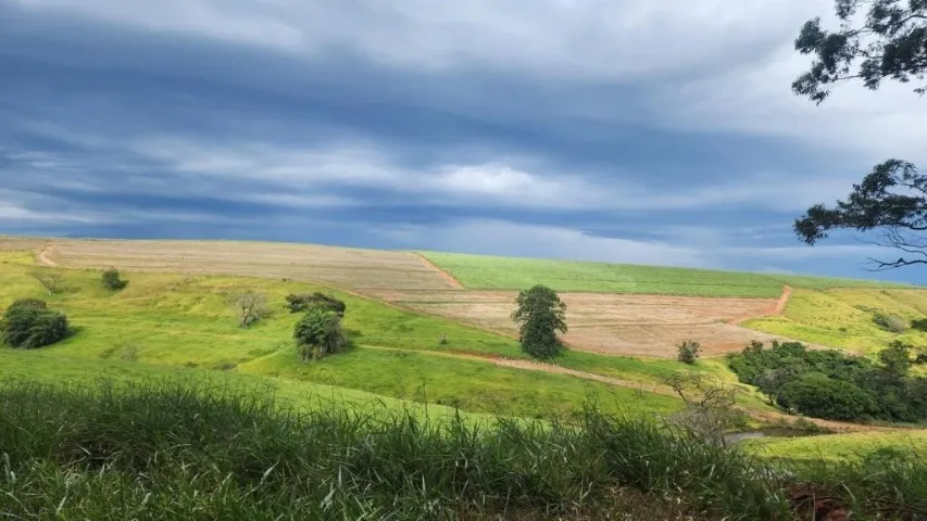 Fazenda próxima a Rio Claro e Piracicaba SP