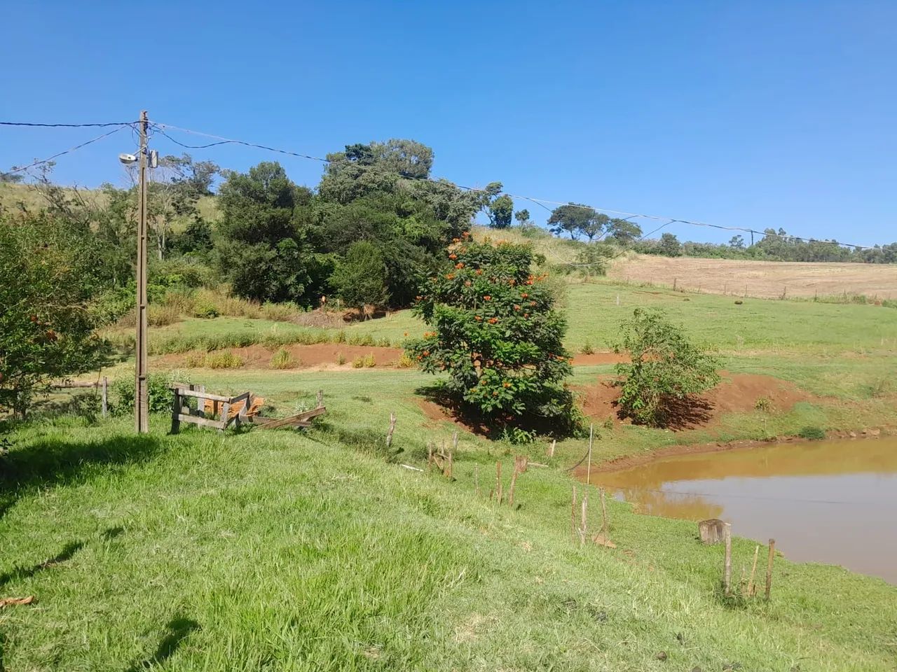 Sítio de 30 alqueiro  - Foto 3