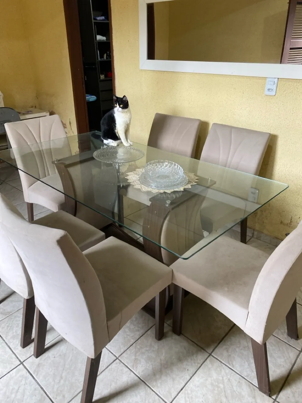 Mesa de Jantar de Vidro com 6 Cadeiras