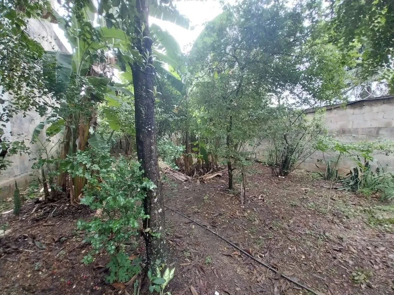 TERRENO PLANO NO PECHINCHA EM JPA COM 370 METROS QUADRADOS. - Foto 3