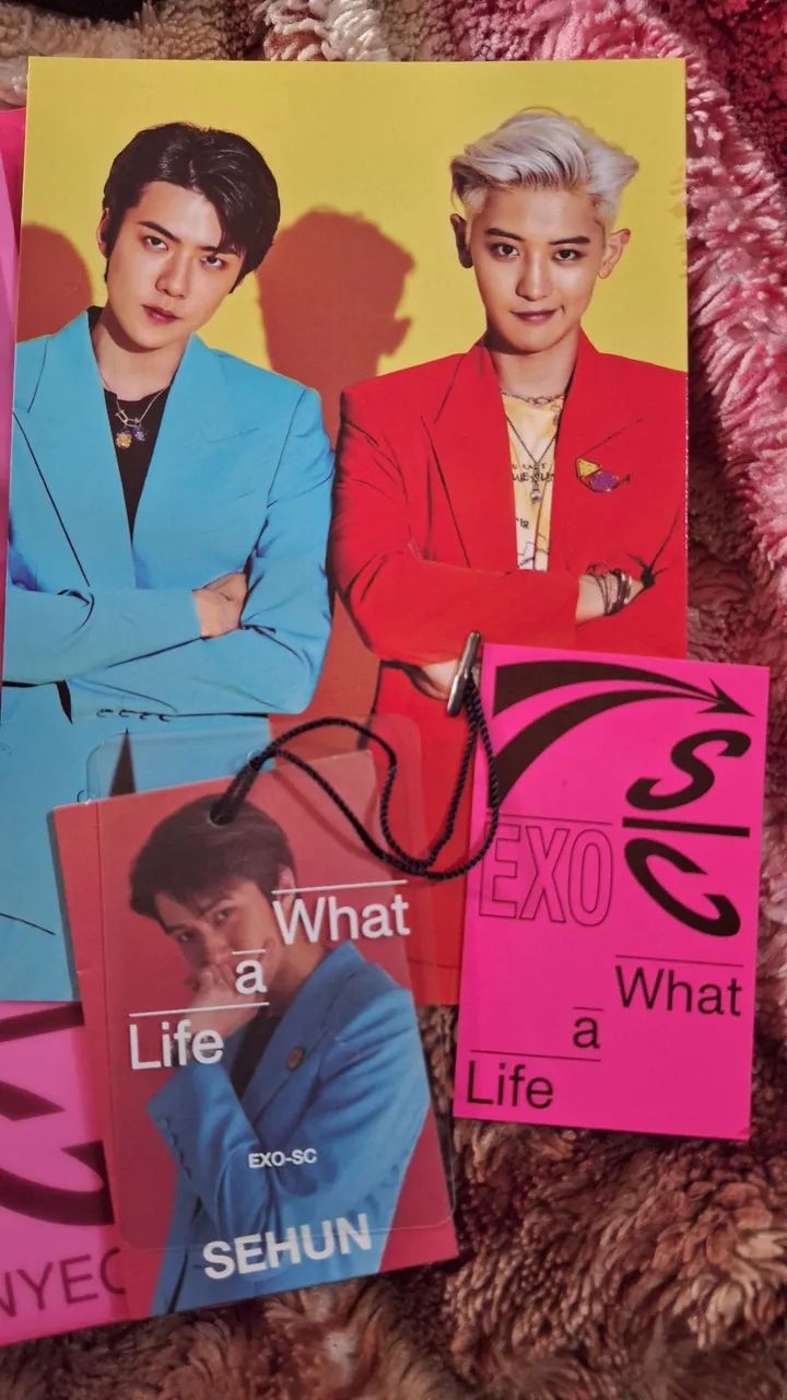 EXO-SX WHAT A LIFE - Foto 3