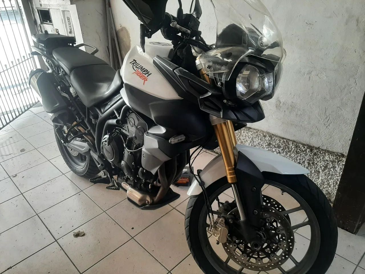 Tiger 800