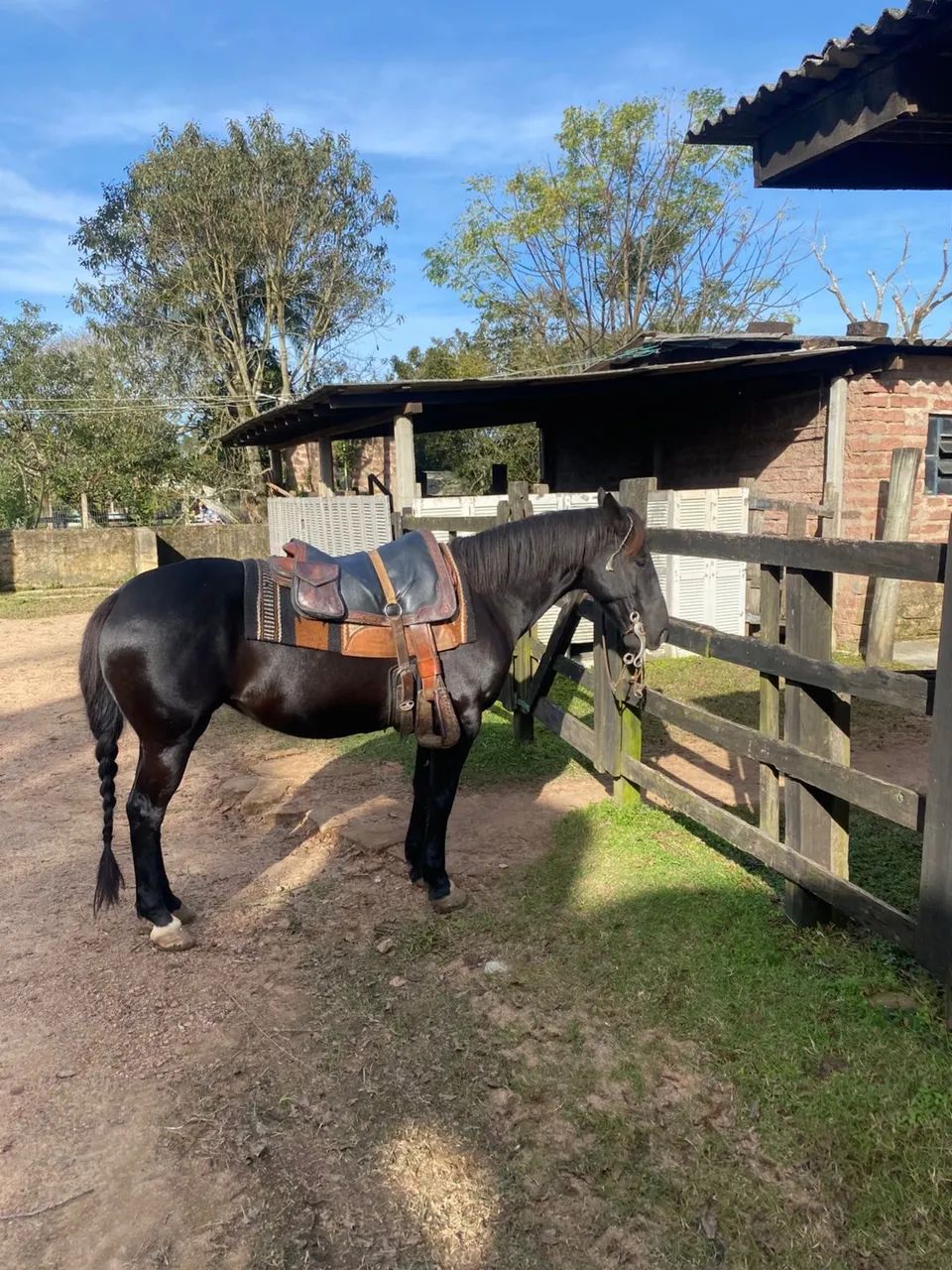 Égua Preta, Confirmada, Máquina!