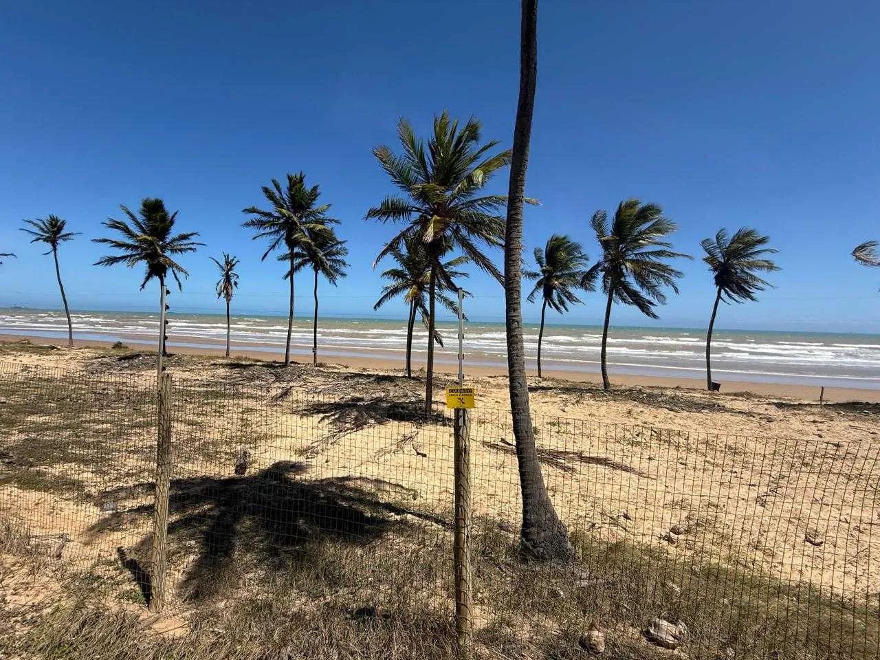LOTE NO MARES MALUÍ [59970] - Foto 4