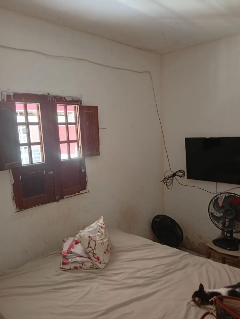 Oportunidade no brejo da Guabiraba  - Foto 3