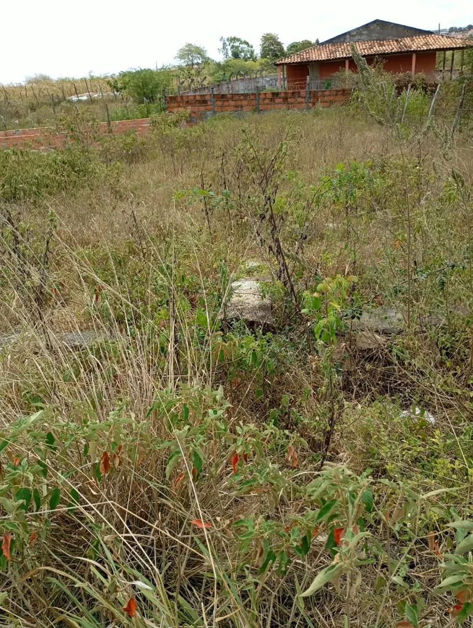 Chão em NossaSsenhora da Glória 