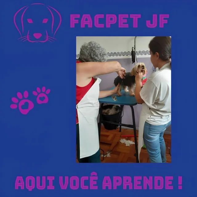 Curso Banho e Tosa profissionalizante  - Foto 3