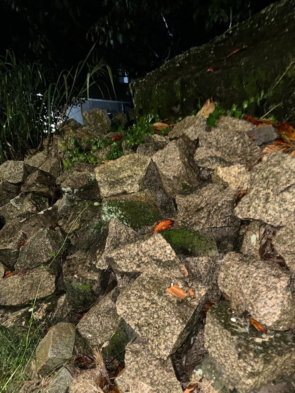 Pedra - Foto 2