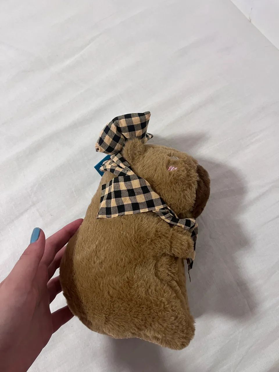 Pelúcia de capivara  - Foto 2