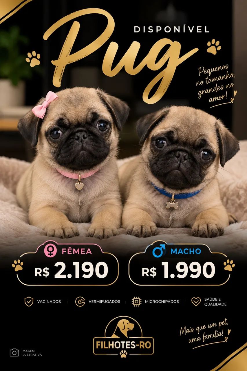PUG  - Foto 3