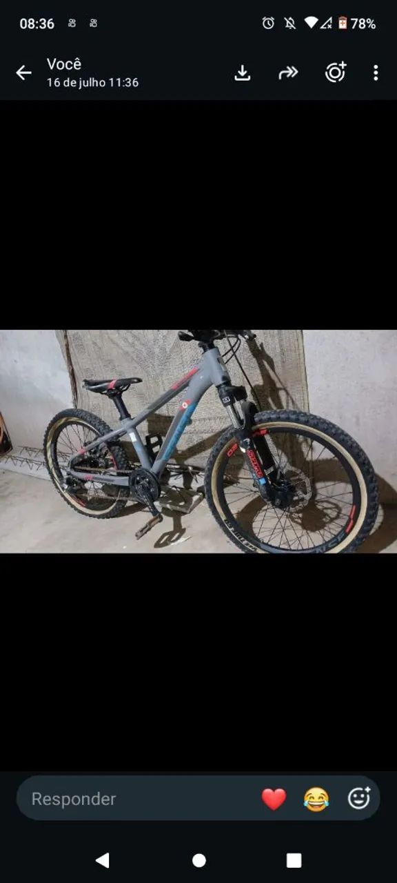 Bicicleta 