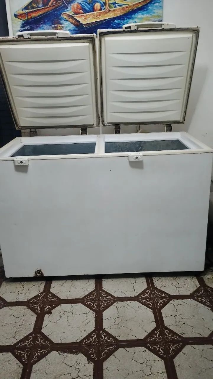 Freezer Horizontal 