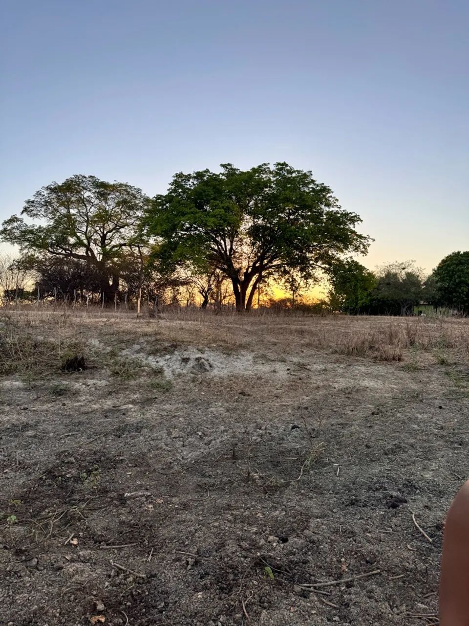 Vende se sítio  - Foto 4