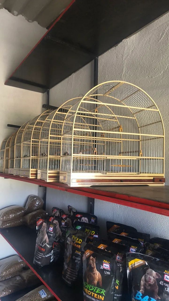 Gaiola de qualidade  - Foto 2