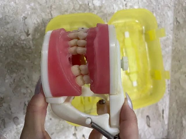 Manequim Pronew Dentistica  - Foto 3