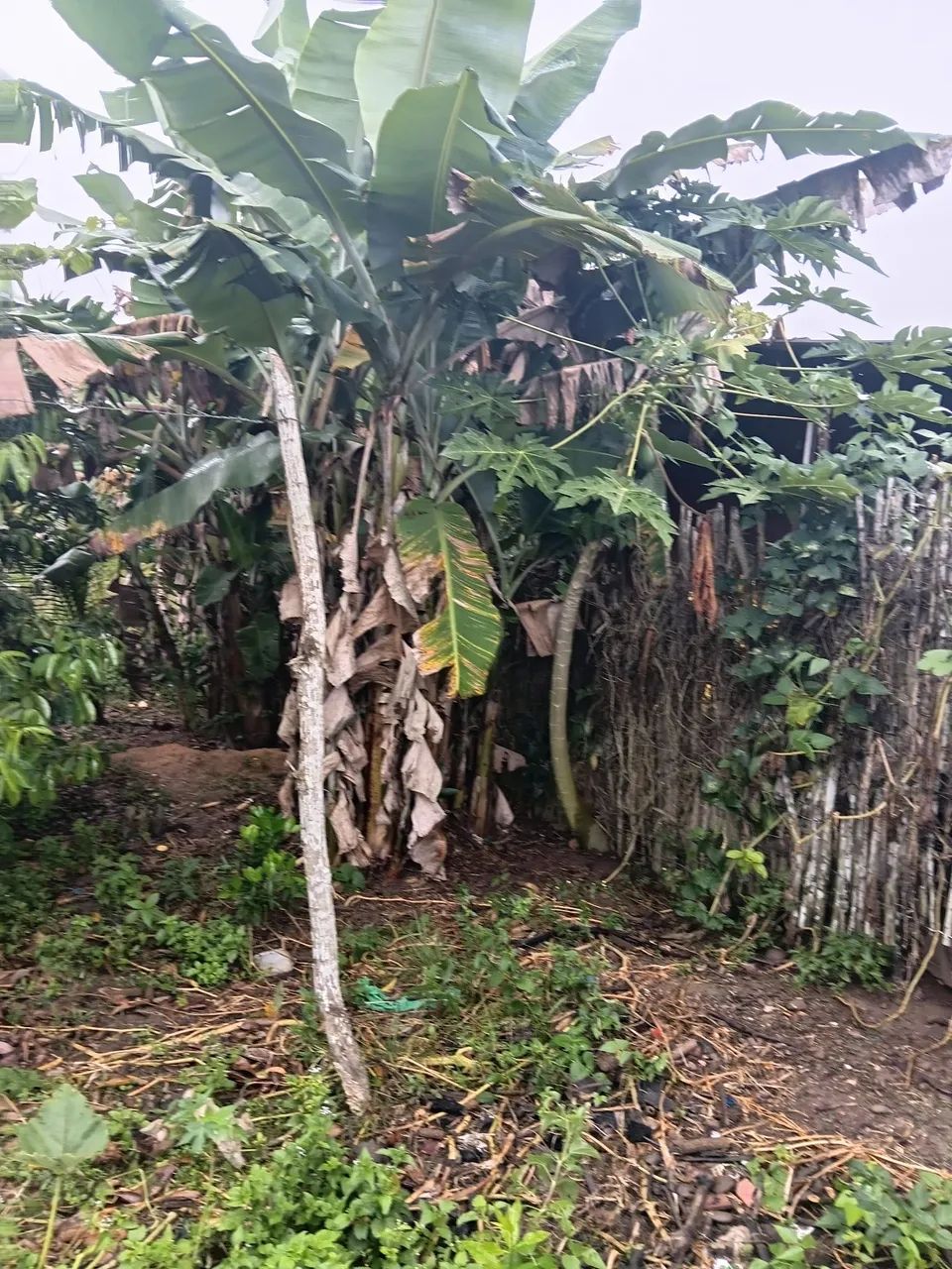 Terreno 500m² próximo ao parque aquático timbó salgado  - Foto 4