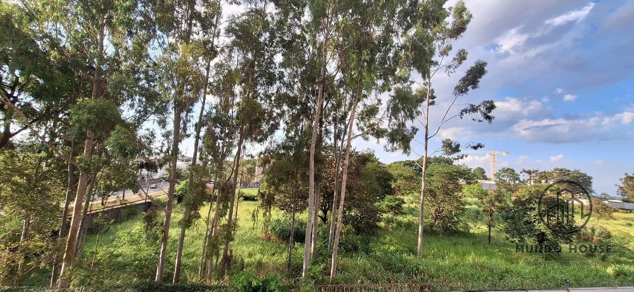 Apartamento 3 dormitorios, suíte, elevador e piscina - Foto 3