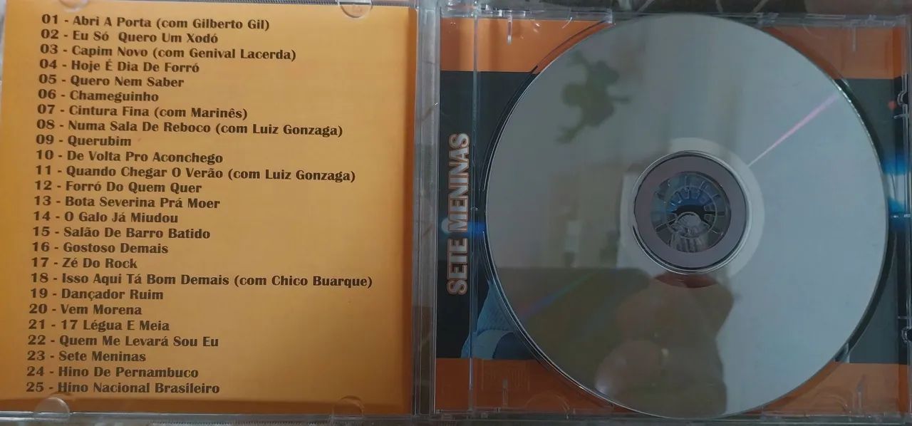 CD Dominguinhos-Grandes Sucessos - Foto 4