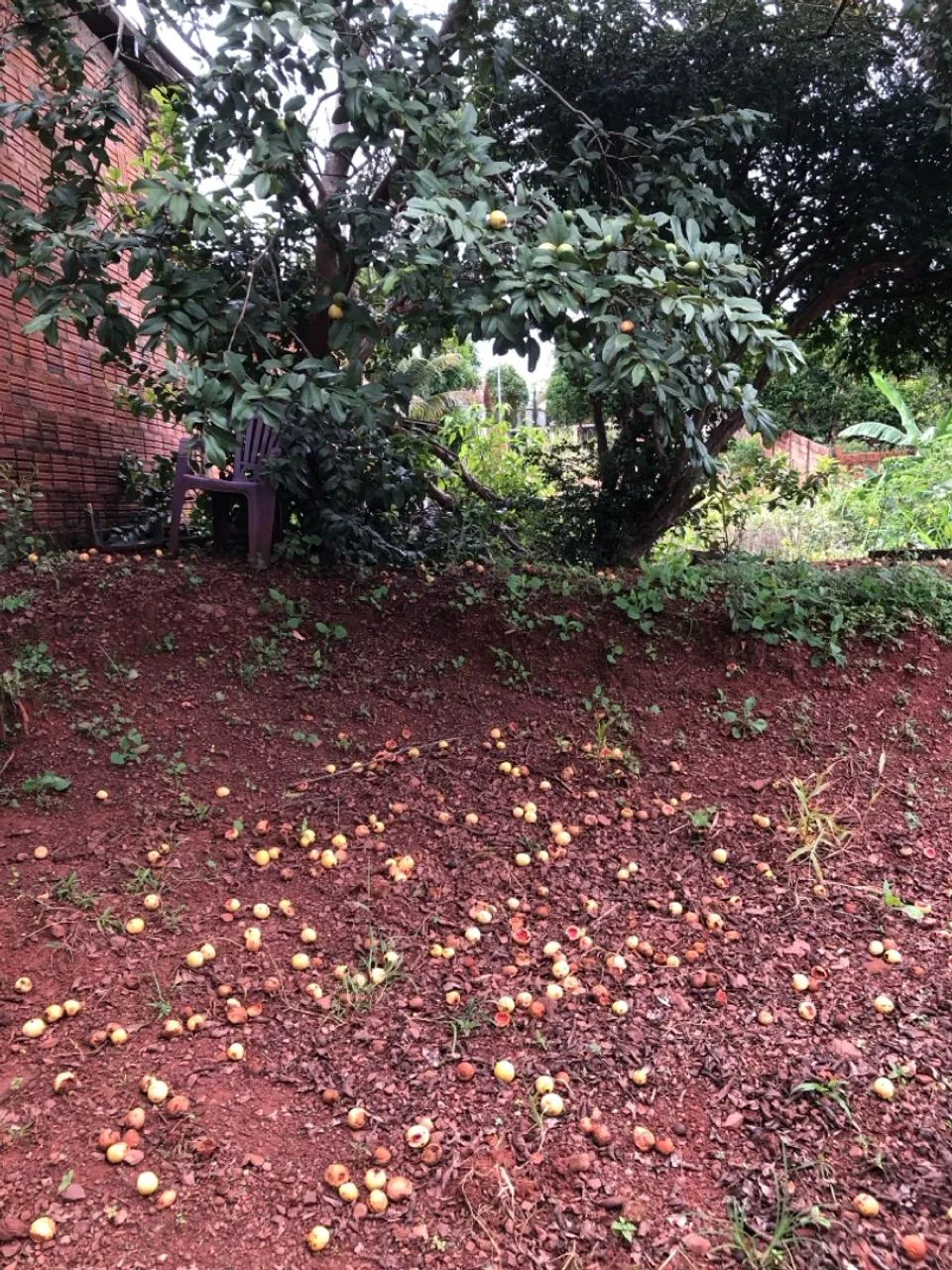 Vendo um lote . - Foto 5
