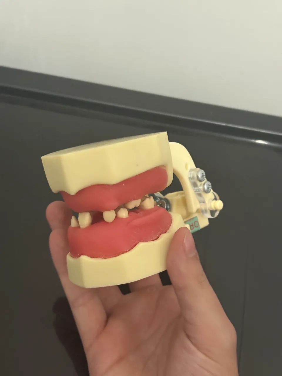 Manequim odontologia  - Foto 3