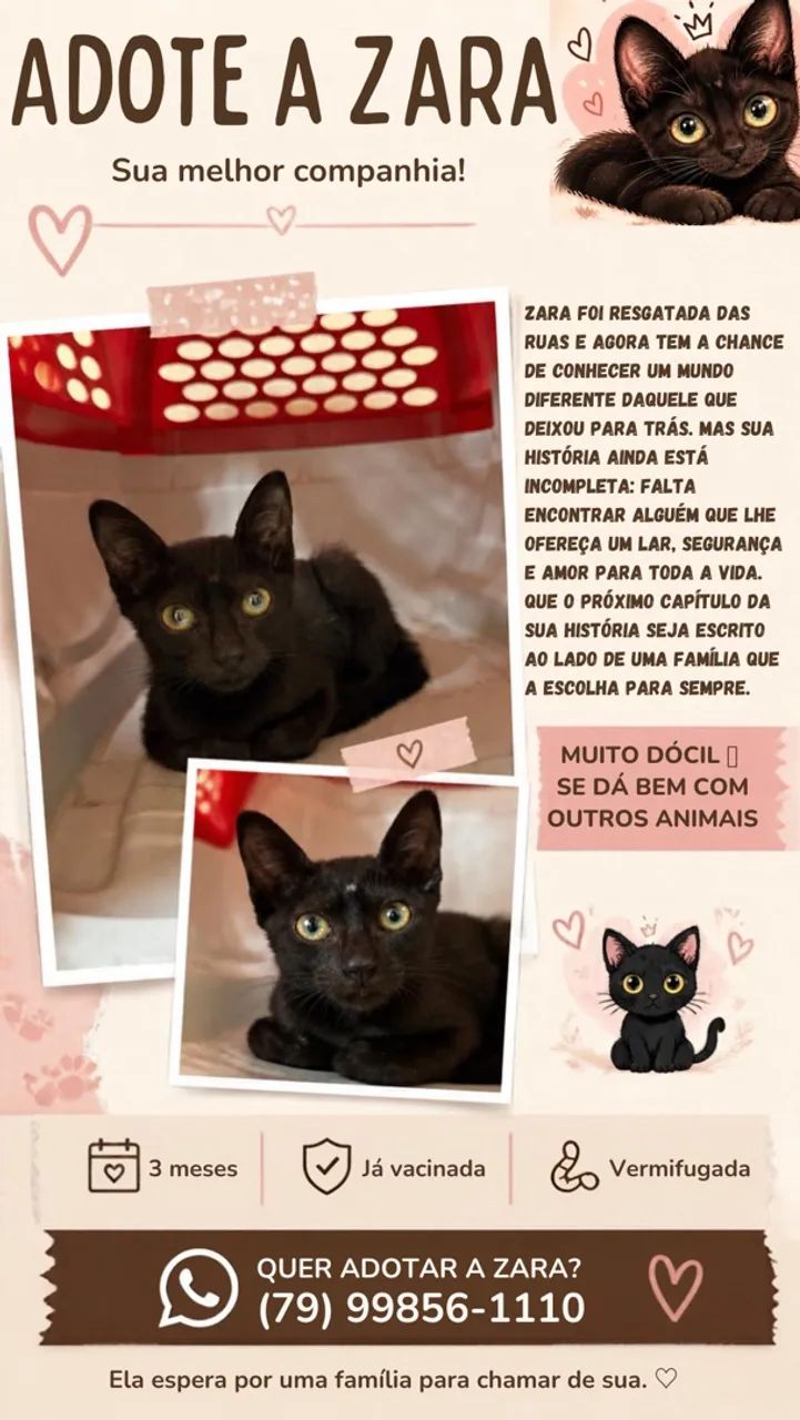 Adoção responsável 