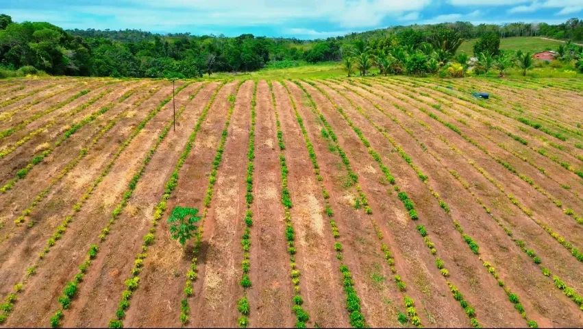 Fazenda para Café com irrigação  - Foto 5