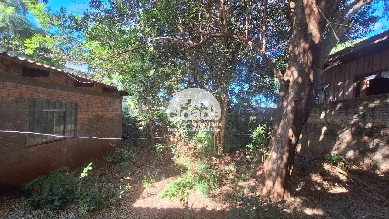Terreno á venda- Neva - Cascavel-PR - Foto 4