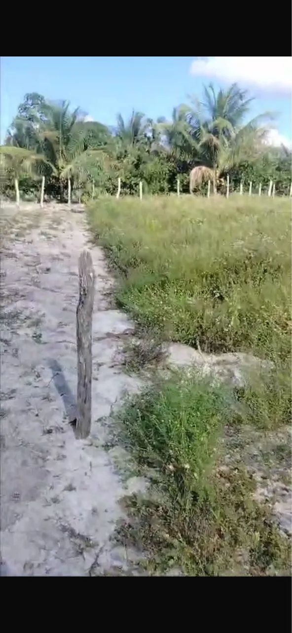 Terreno no conde