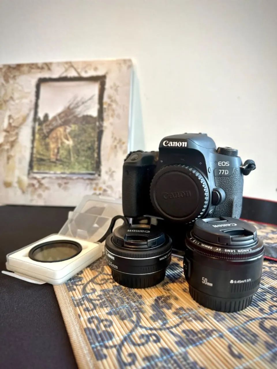 Câmera Canon 77D