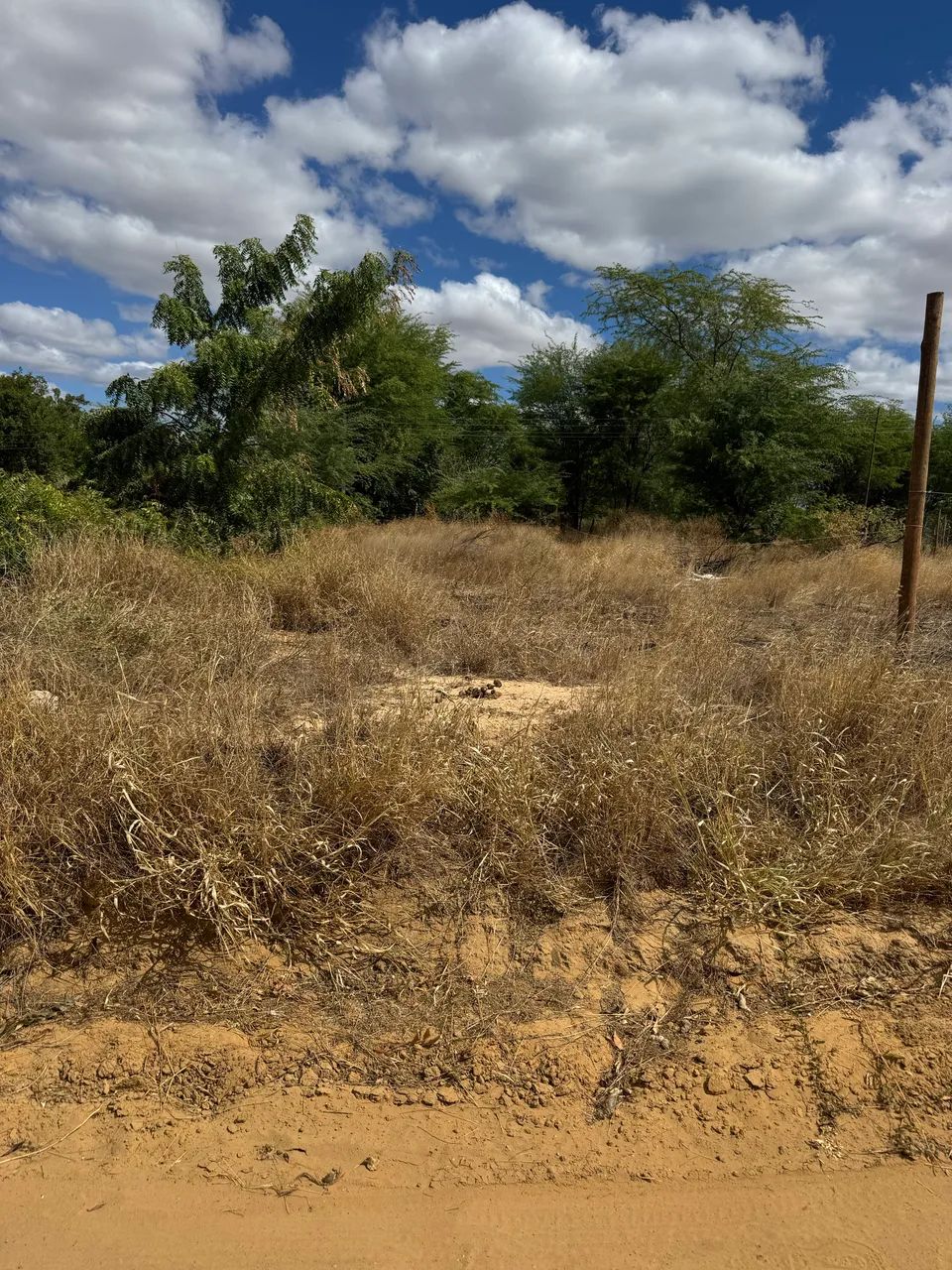 Terreno a venda - Foto 2